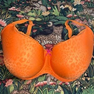 Cheetah / Leopard T Shirt Bra